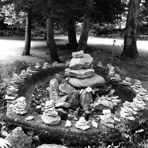 Meet your Posher, Rose